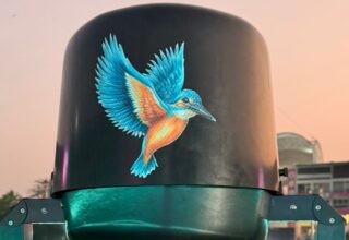 -Kingfisher Bird Cam