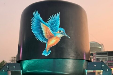 -Kingfisher Bird Cam
