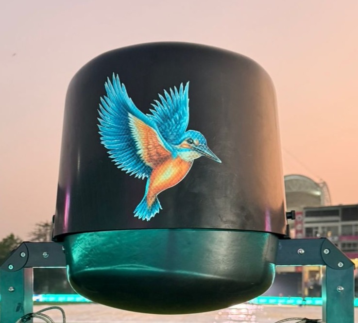 -Kingfisher Bird Cam